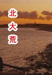 5151四虎免费