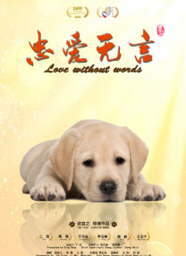 久久精品这里有