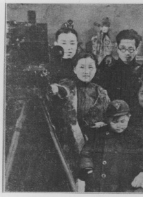 寡妇网