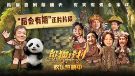 在线观看国产v片